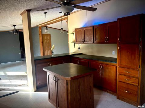 Tiny photo for 4295 Lick Creek Road, Buncombe, IL 62912 (MLS # QC4266931)