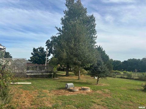 Tiny photo for 4295 Lick Creek Road, Buncombe, IL 62912 (MLS # QC4266931)