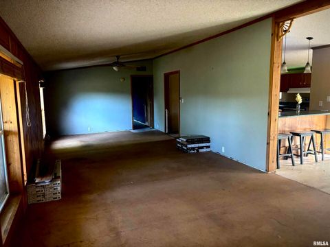 Tiny photo for 4295 Lick Creek Road, Buncombe, IL 62912 (MLS # QC4266931)