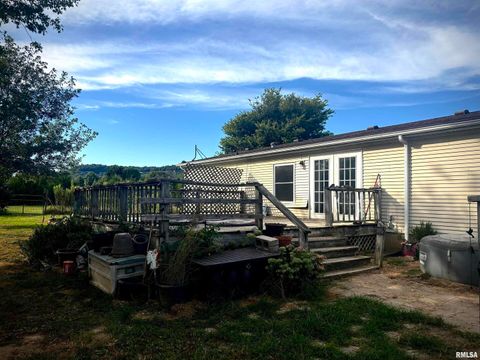 Tiny photo for 4295 Lick Creek Road, Buncombe, IL 62912 (MLS # QC4266931)