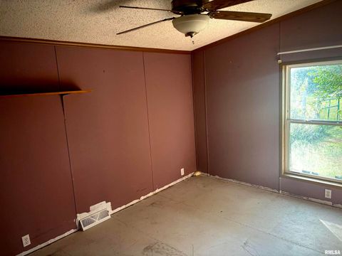 Tiny photo for 4295 Lick Creek Road, Buncombe, IL 62912 (MLS # QC4266931)