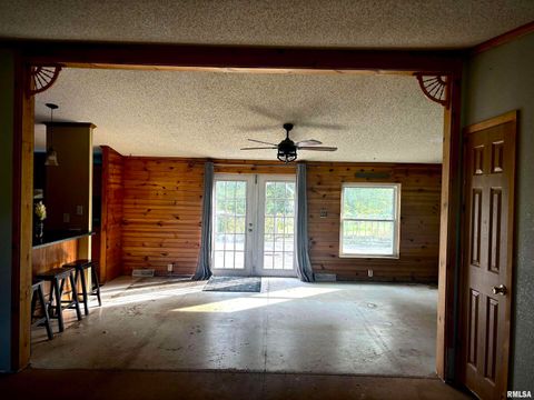 Tiny photo for 4295 Lick Creek Road, Buncombe, IL 62912 (MLS # QC4266931)