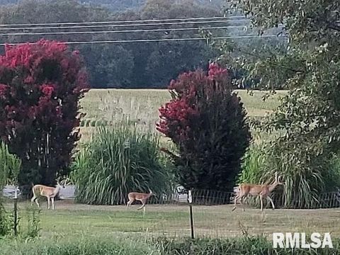 Tiny photo for 4295 Lick Creek Road, Buncombe, IL 62912 (MLS # QC4266931)