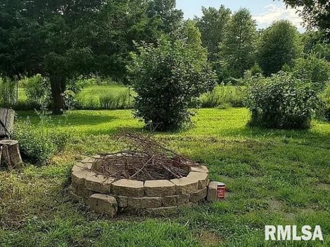 Tiny photo for 4295 Lick Creek Road, Buncombe, IL 62912 (MLS # QC4266931)