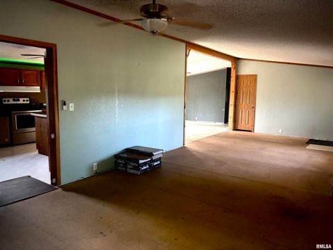 Tiny photo for 4295 Lick Creek Road, Buncombe, IL 62912 (MLS # QC4266931)