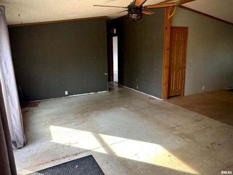 Tiny photo for 4295 Lick Creek Road, Buncombe, IL 62912 (MLS # QC4266931)