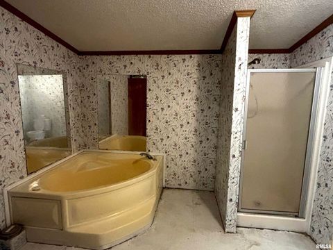 Tiny photo for 4295 Lick Creek Road, Buncombe, IL 62912 (MLS # QC4266931)