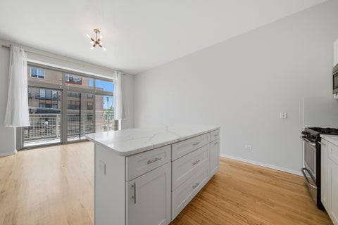 Tiny photo for Chicago, IL 60609 (MLS # 12664772)