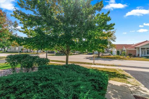 Photo of 13954 S Tamarack Drive, Plainfield, IL 60544 (MLS # 12471454)