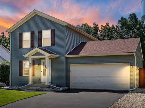 377 E Camden Lane Round Lake Beach IL 60073