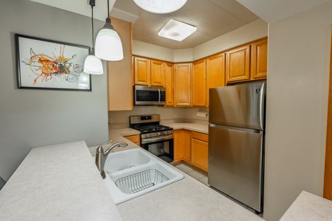 Tiny photo for 1745 PAVILION Way #206, Park Ridge, IL 60068 (MLS # 12515784)