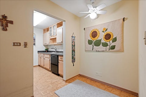 Tiny photo for 300 THAMES Parkway #3F, Park Ridge, IL 60068 (MLS # 12758615)