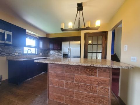 Tiny photo for 19812 Monterey Avenue, Lynwood, IL 60411 (MLS # 12621415)