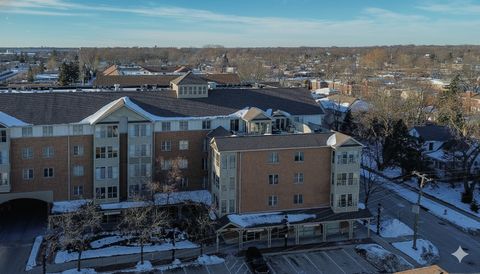 Tiny photo for 100 N Bokelman Street #325, Roselle, IL 60172 (MLS # 12535207)