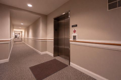 Tiny photo for 100 N Bokelman Street #325, Roselle, IL 60172 (MLS # 12535207)