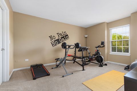 Tiny photo for 13332 Morning Mist Place, Plainfield, IL 60585 (MLS # 12650812)