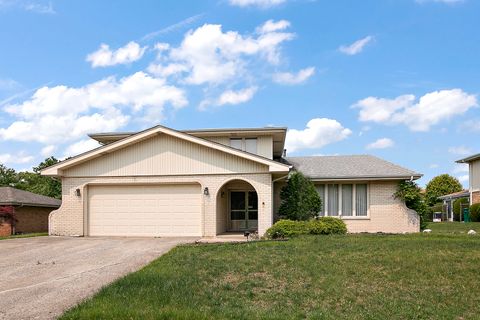 14216 Trenton Avenue Orland Park IL 60462