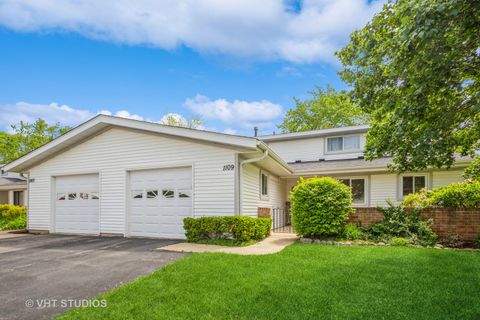 1109 Danvers Court Schaumburg IL 60193