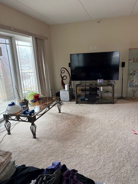 Tiny photo for 77 N Wolf Road #210, Northlake, IL 60164 (MLS # 12583973)
