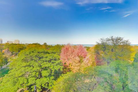 Tiny photo for 1555 N Dearborn Parkway #7E, Chicago, IL 60610 (MLS # 12503920)