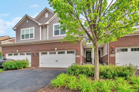 16127 W Switch Grass Road Lockport IL 60441