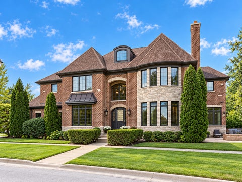 Photo of 253 E Wilson Street, Elmhurst, IL 60126 (MLS # 12786440)