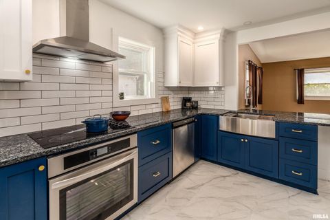 Tiny photo for 711 W ELM Street, Carbondale, IL 62901 (MLS # EB460263)