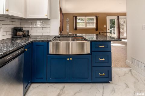 Tiny photo for 711 W ELM Street, Carbondale, IL 62901 (MLS # EB460263)