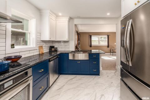 Tiny photo for 711 W ELM Street, Carbondale, IL 62901 (MLS # EB460263)