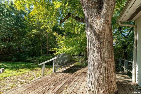 Tiny photo for 711 W ELM Street, Carbondale, IL 62901 (MLS # EB460263)