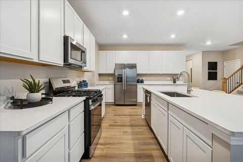 Tiny photo for Algonquin, IL 60102 (MLS # 12520602)