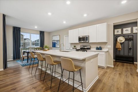 Tiny photo for Algonquin, IL 60102 (MLS # 12520602)