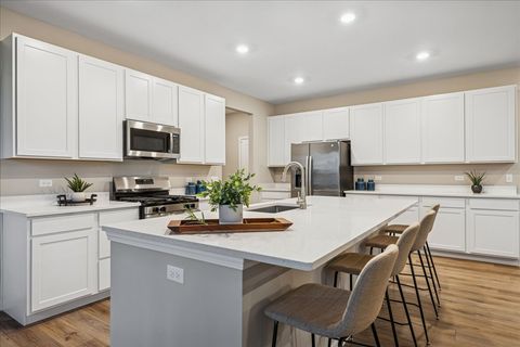 Tiny photo for Algonquin, IL 60102 (MLS # 12520602)