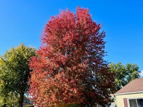 Tiny photo for 548 E Middle Street, South Elgin, IL 60177 (MLS # 12502302)