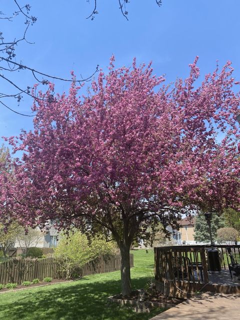 Tiny photo for 3719 Falkner Drive, Naperville, IL 60564 (MLS # 12593273)