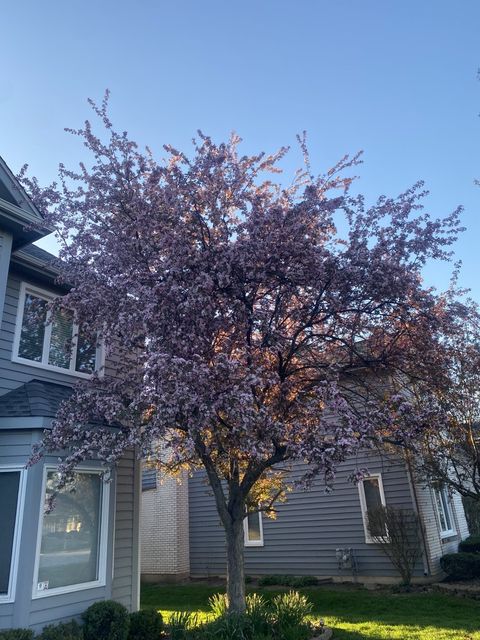 Tiny photo for 3719 Falkner Drive, Naperville, IL 60564 (MLS # 12593273)