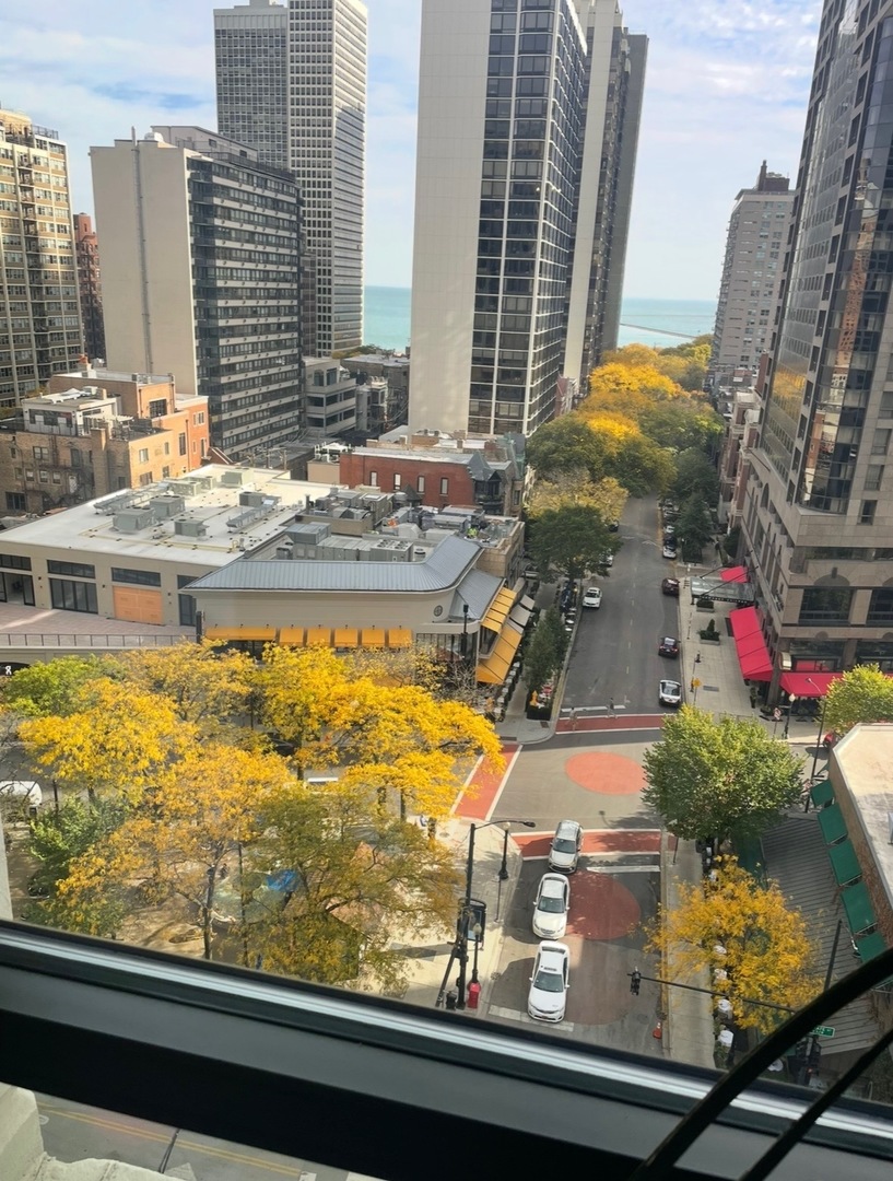 1030 N STATE Street 6F