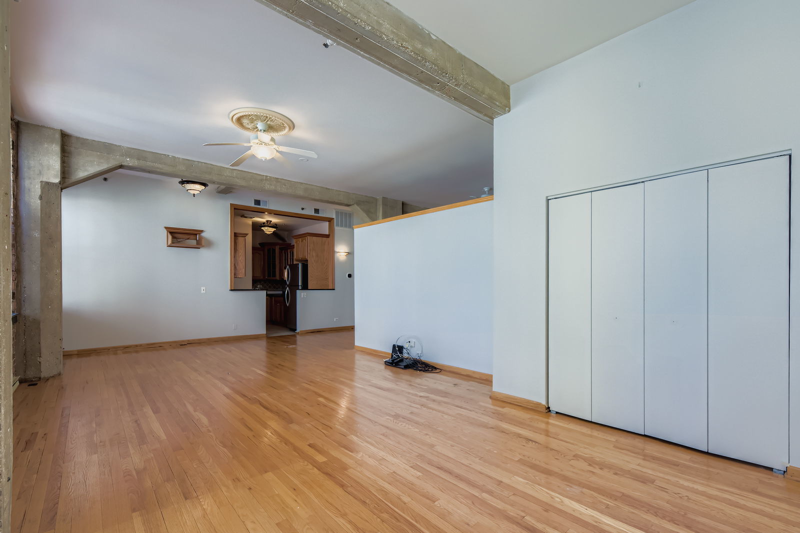 720 S Dearborn Street 1002