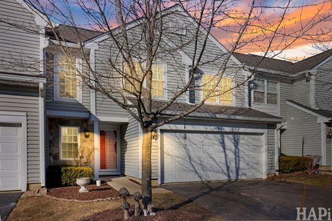 Tiny photo for 26172 W Vista Court, Ingleside, IL 60041 (MLS # 12571442)