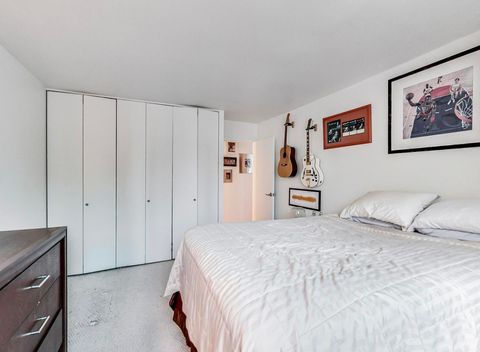 Tiny photo for Chicago, IL 60611 (MLS # 12613382)