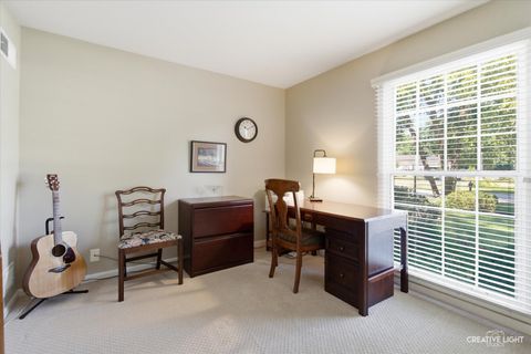 Tiny photo for 1493 Sandy Hook Street, Wheaton, IL 60189 (MLS # 12689994)