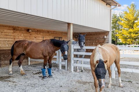 Tiny photo for 5021 Minkler Road, Yorkville, IL 60560 (MLS # 12463166)