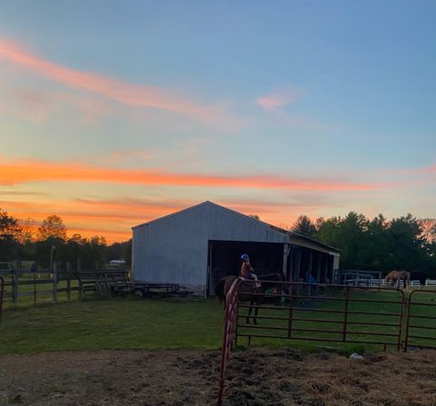 Tiny photo for 205 W Boundary Road, CrealSprng, IL 62922 (MLS # 100000075)