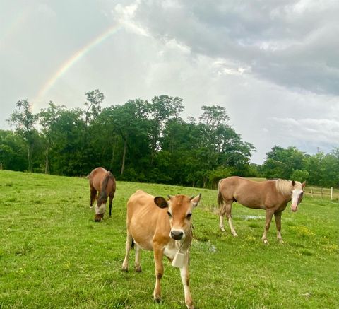 Tiny photo for 205 W Boundary Road, CrealSprng, IL 62922 (MLS # 100000075)