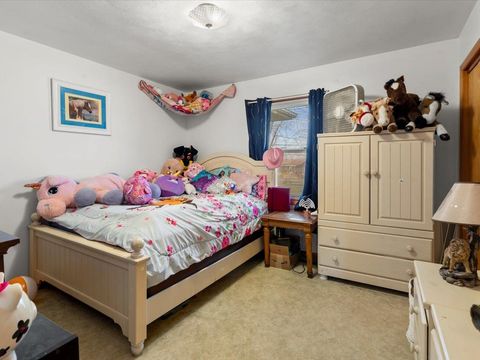 Tiny photo for 205 W Boundary Road, CrealSprng, IL 62922 (MLS # 100000075)