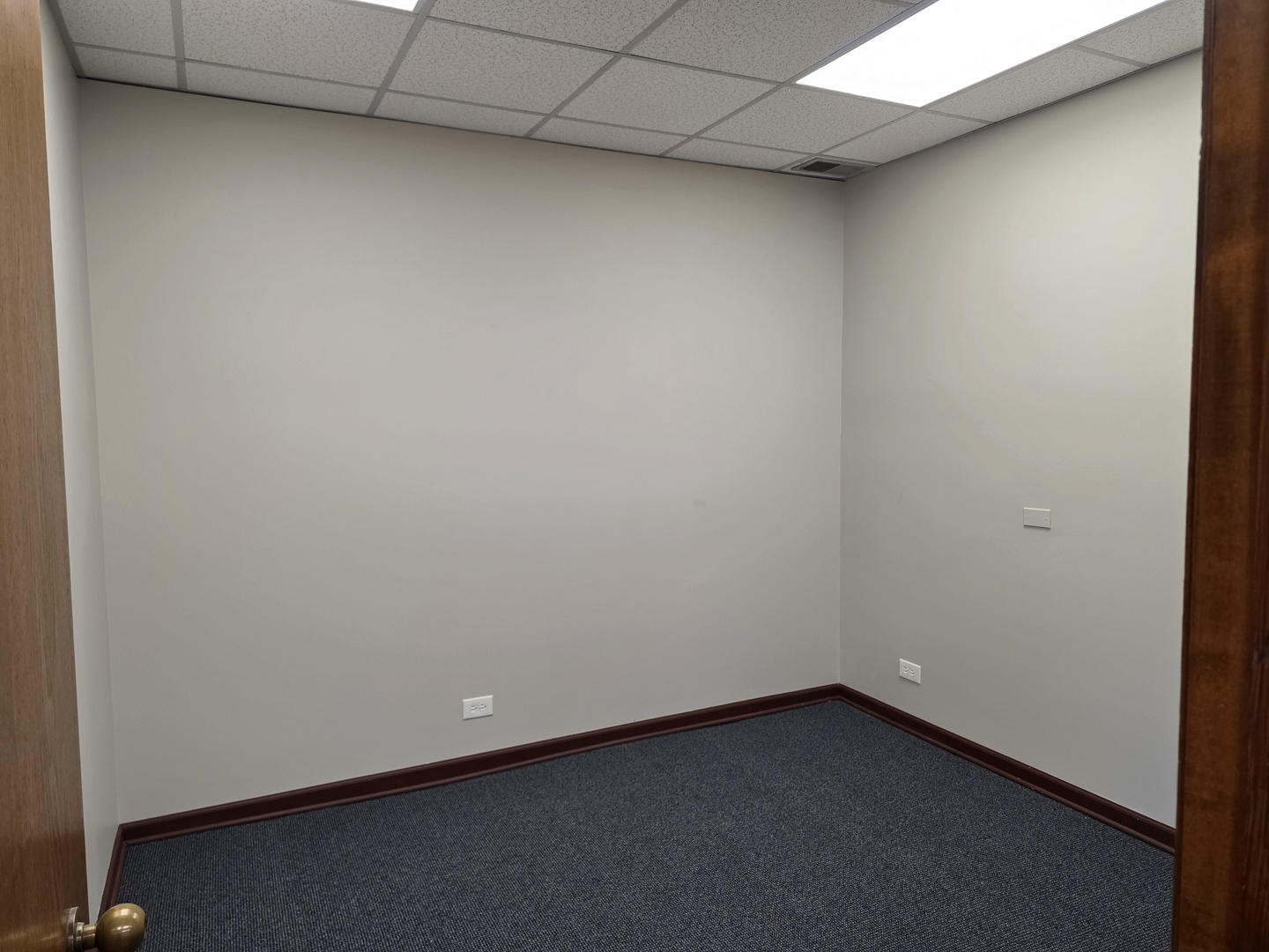 501 W Ogden Avenue 4