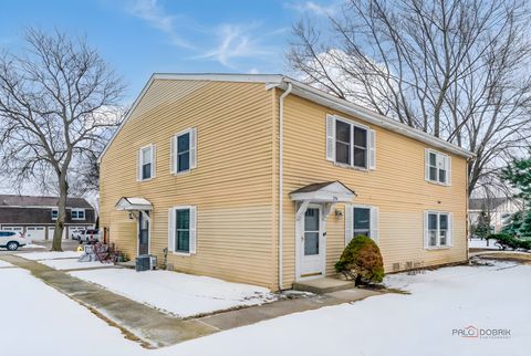 Photo of 254 Sunset Court #0, Vernon Hills, IL 60061 (MLS # 12563233)