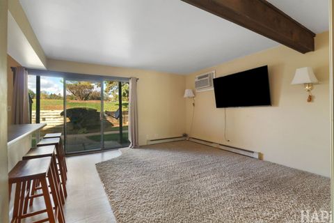 Tiny photo for 36 Bermuda Colony #6, Fox Lake, IL 60020 (MLS # 12501388)