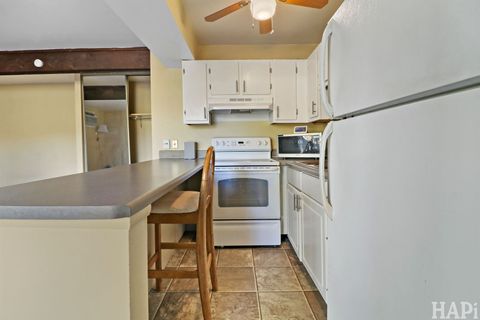 Tiny photo for 36 Bermuda Colony #6, Fox Lake, IL 60020 (MLS # 12501388)