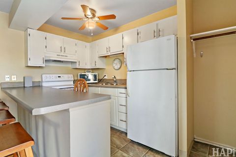 Tiny photo for 36 Bermuda Colony #6, Fox Lake, IL 60020 (MLS # 12501388)